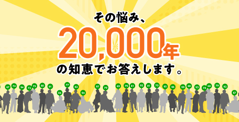 その悩み、20000年の知恵でお答えします